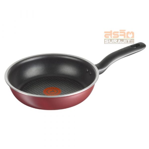 Tefal-C6170614